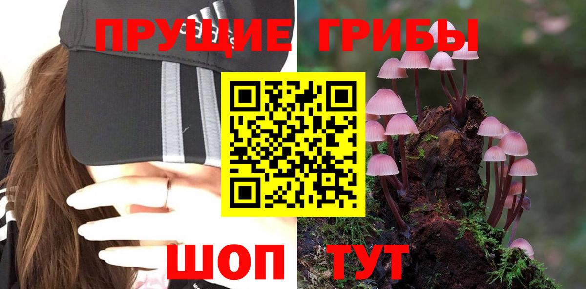 Истра  купить закладку  Вход с VPN  Псилоцибиновые грибы ЛСД 